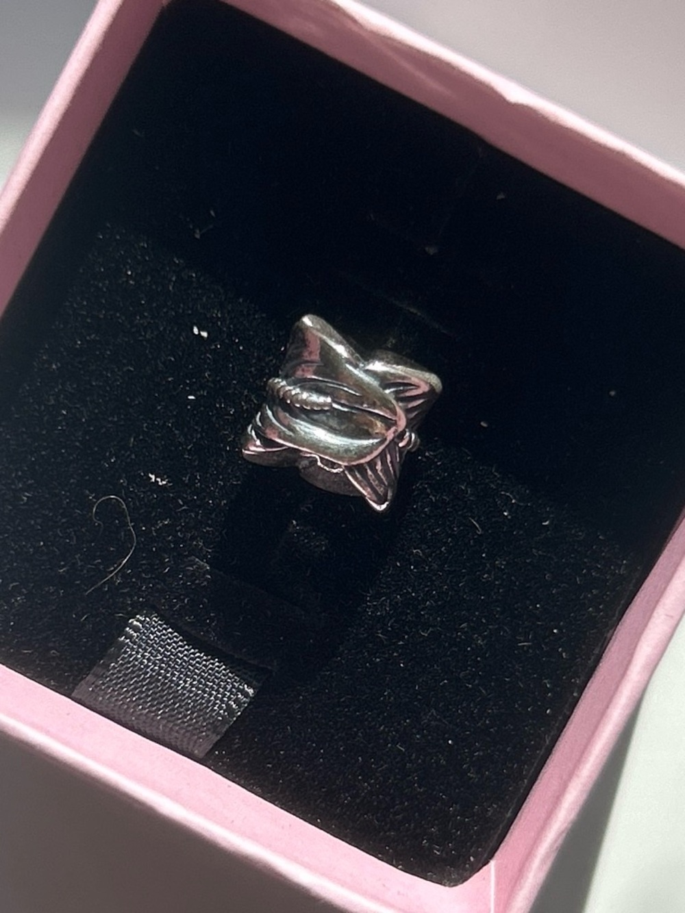 Pandora Silver Feather charm.